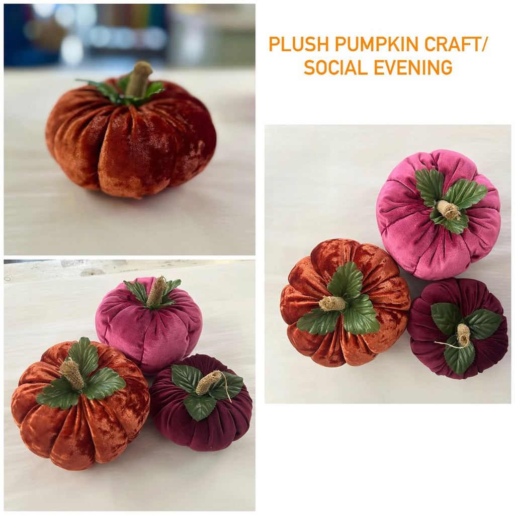 Plush Pumpkin Workshop - Friday Social @ Raft Ledbury 26 sep '25